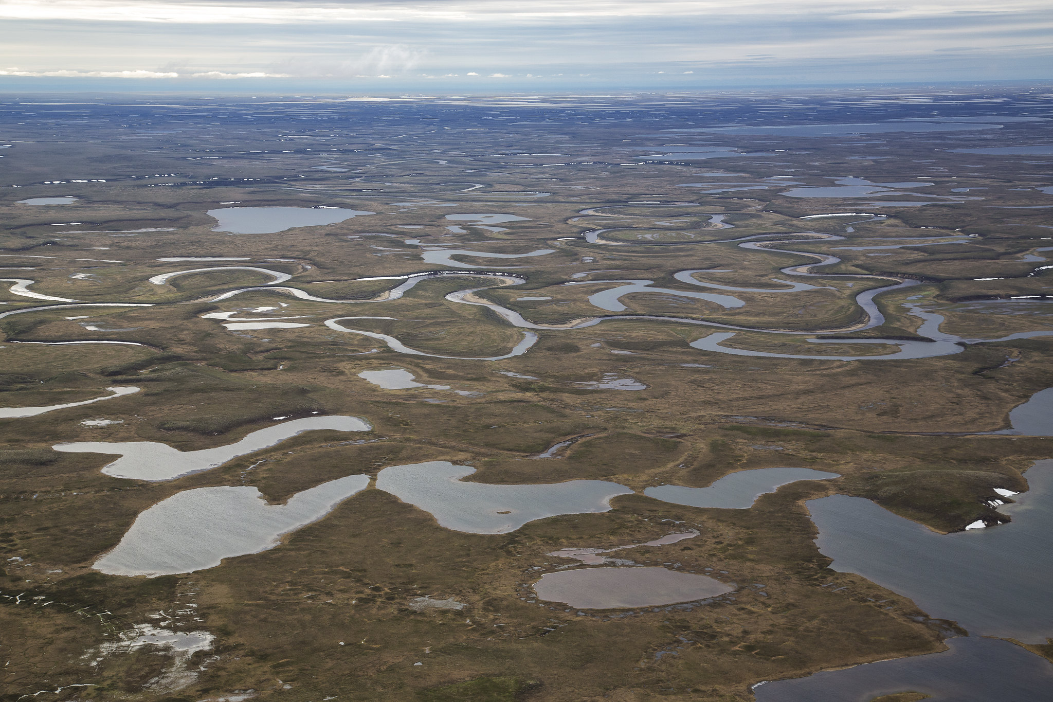 Il vasto paesaggio della NPR-A dell'Alaska settentrionale: qui è dove la ConocoPhillips effettuerà il fracking in tre siti di trivellazione. Foto: Bureau of Land Management Alaska/Flickr BY 2.0