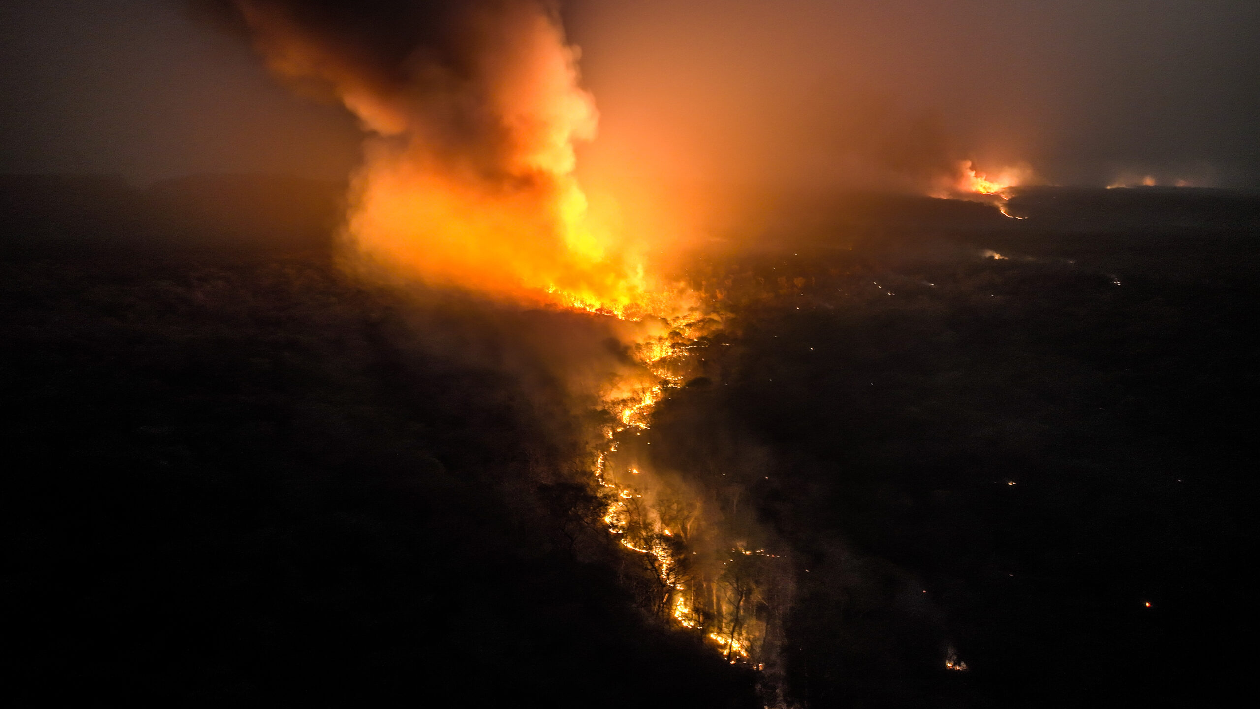 Gli incendi nel comune di Roboré, in Bolivia, continuano a colpire le comunità e il patrimonio naturale. Foto: Claudia Belaunde / FCBC.