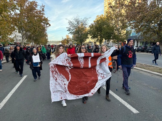 Manifestazione contro il governo serbo a Novi Sad, Serbia. Foto: Portale Autonomija